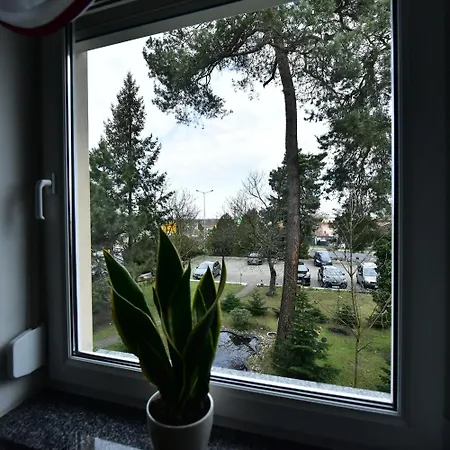 Bed & Breakfast Schwesinger 3*