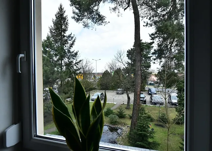 Bed & Breakfast Schwesinger 3*