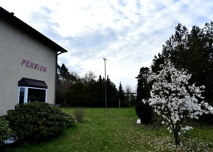 Bed & Breakfast Schwesinger 3*