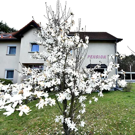 Schwesinger