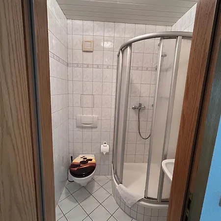 Schwesinger Bed & Breakfast *